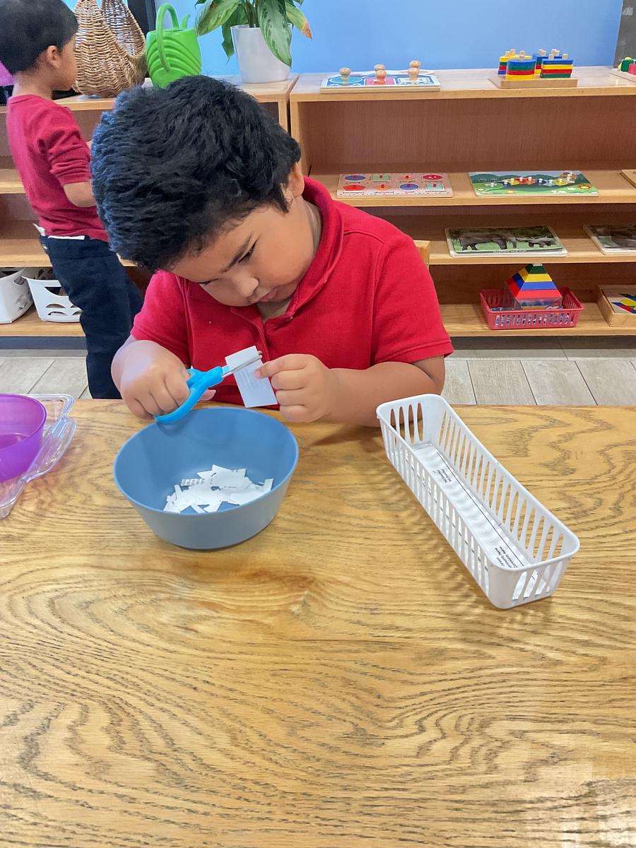 Flowery Grove Montessori